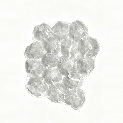 Frozen Food