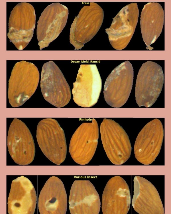 Nuts and Dry Goods in Bulk