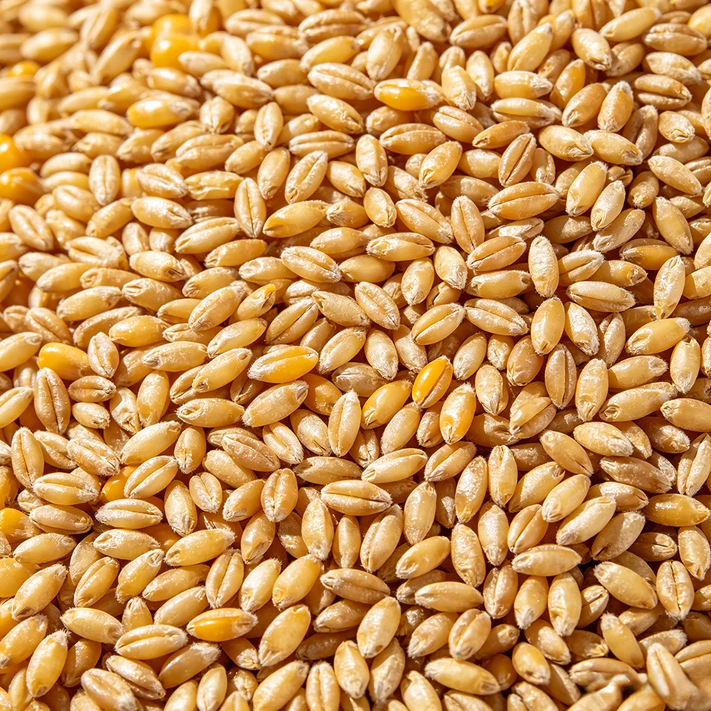 Cereals
